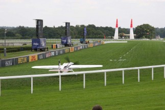 Starting grid at Ascot.